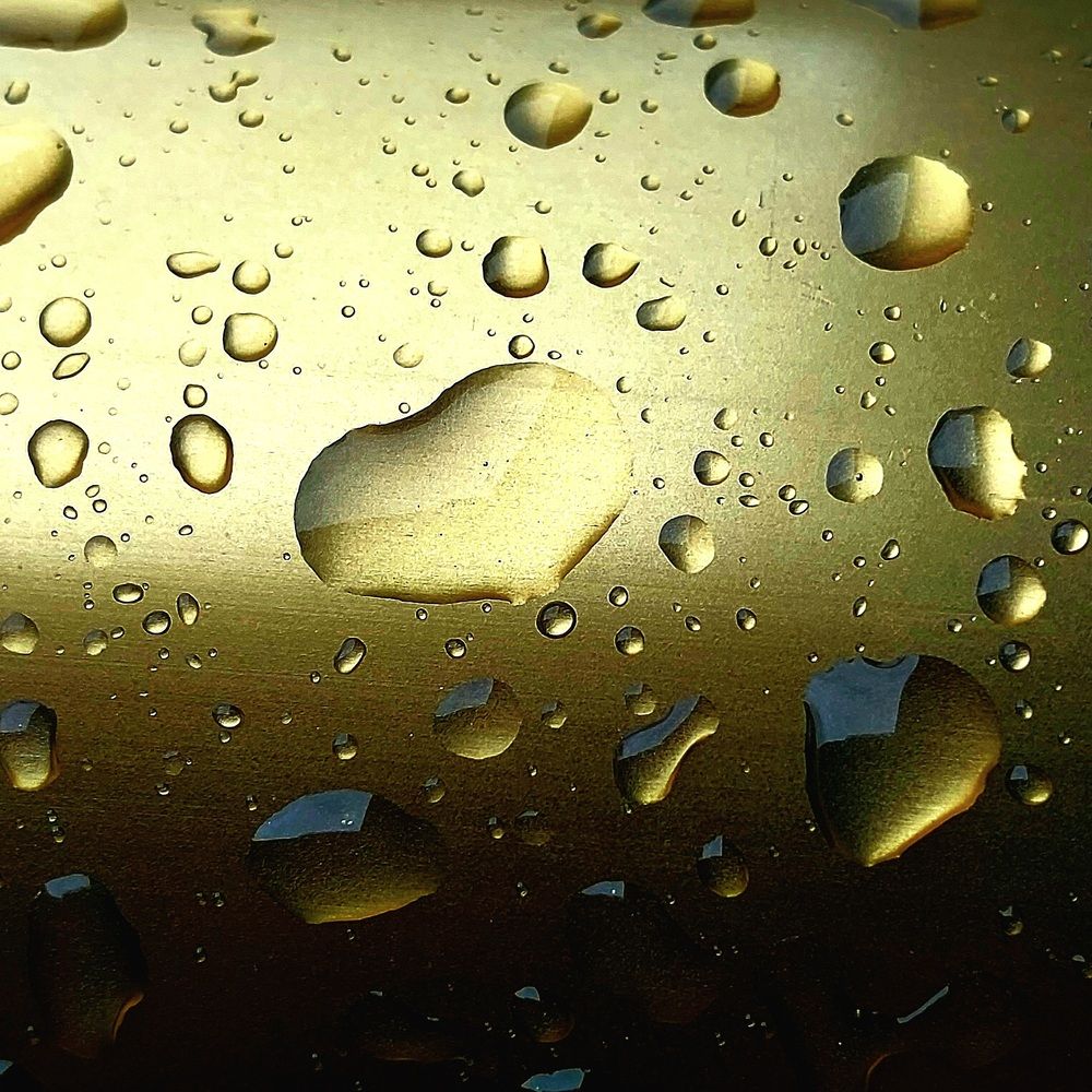 Photograph by Maria da Conceição Queiroz