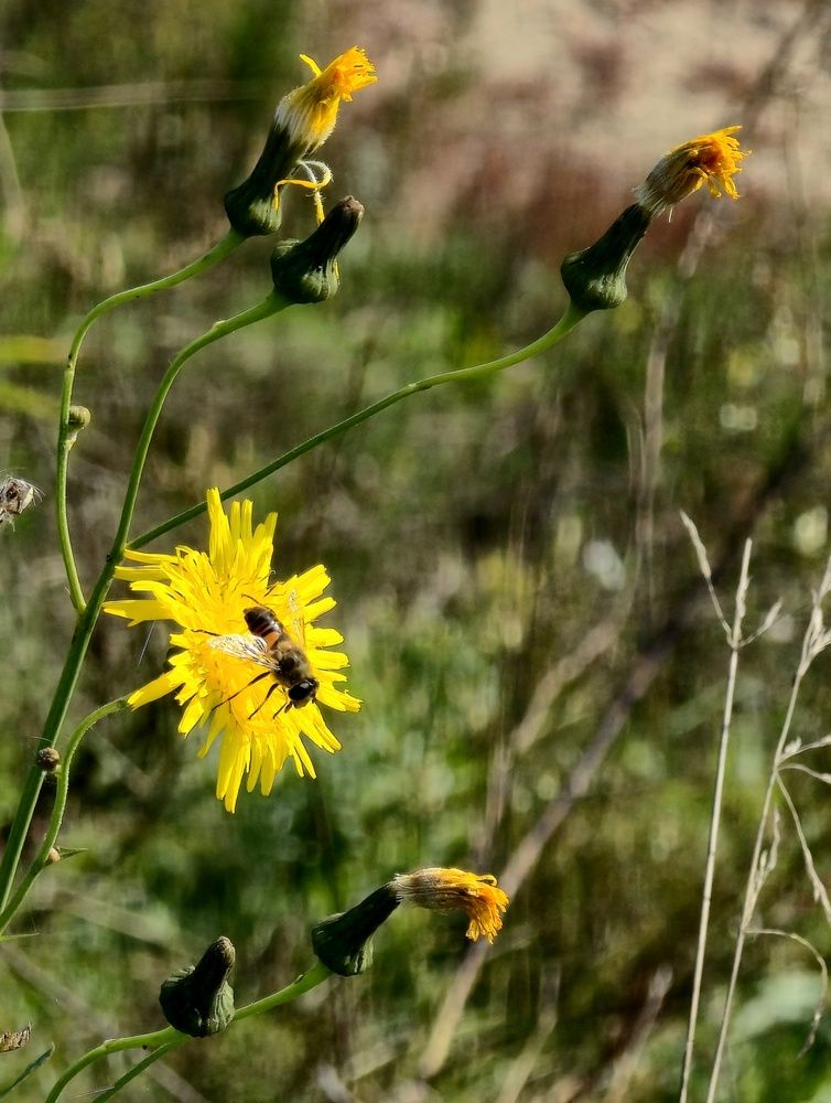 Photograph by Елена Ласун