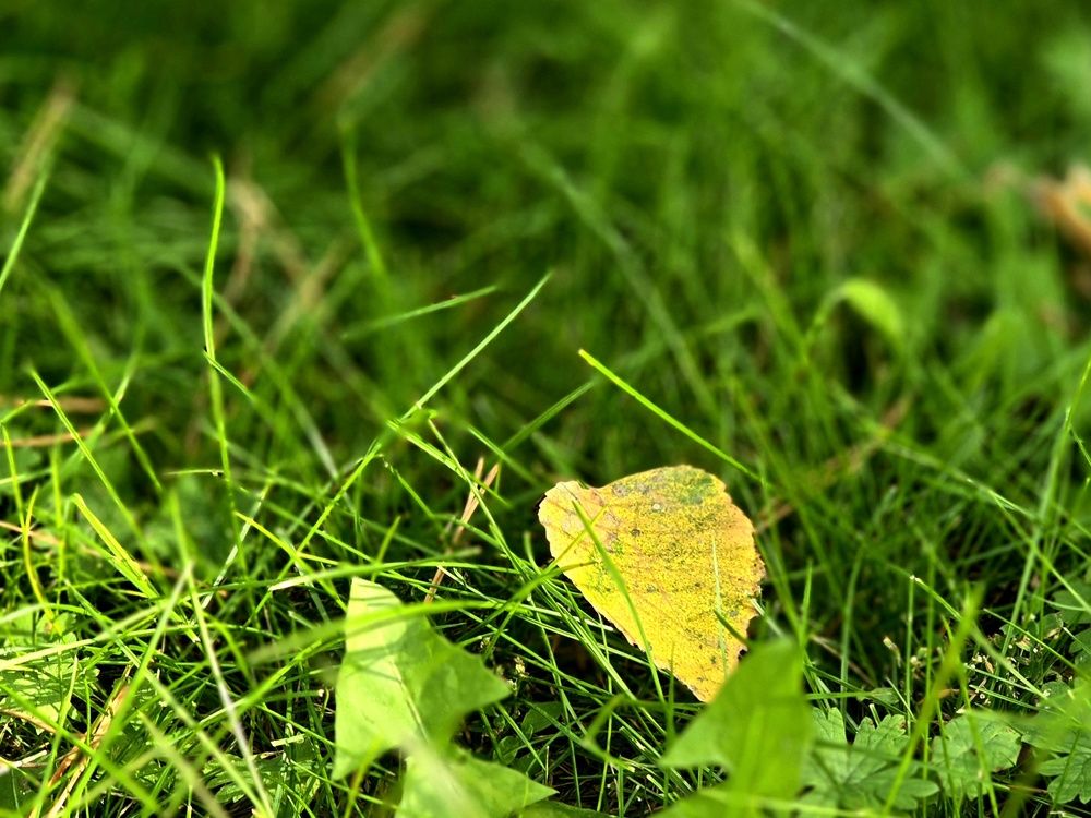 Photograph by Елена Ласун