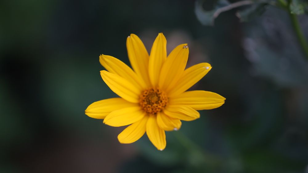 Photograph by Лилия Нуриева