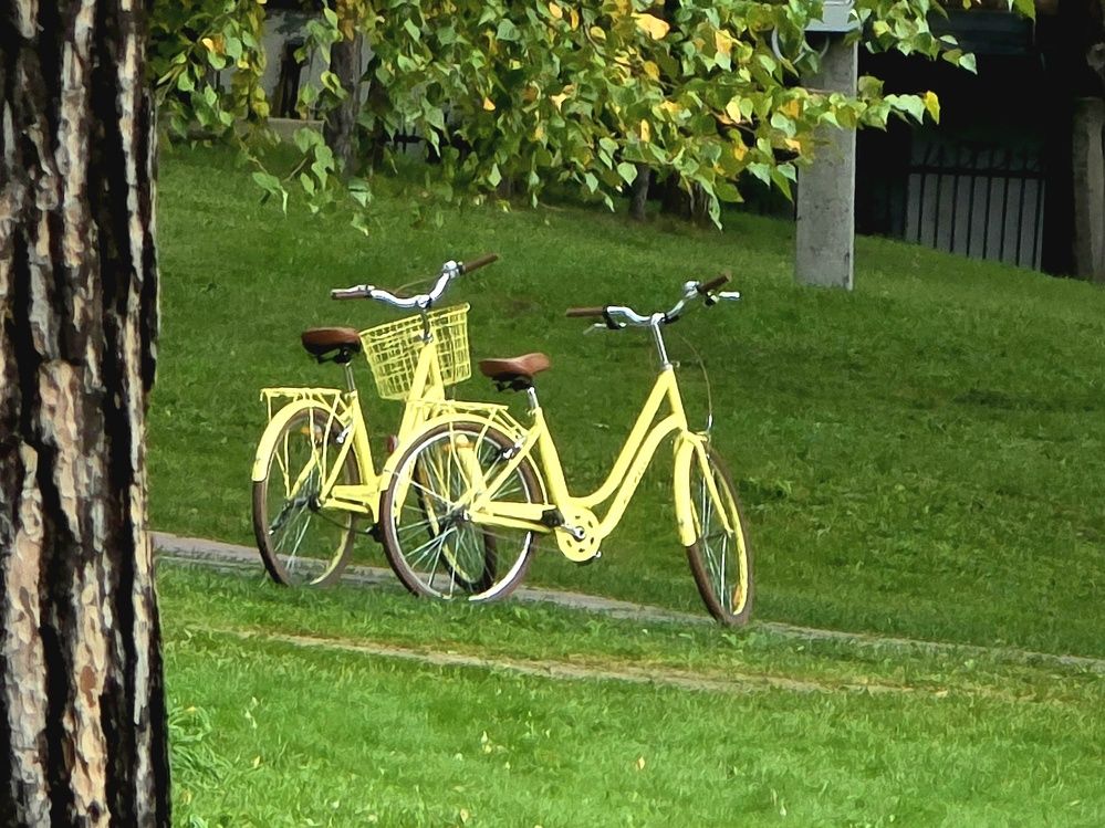 Photograph by Елена Ласун