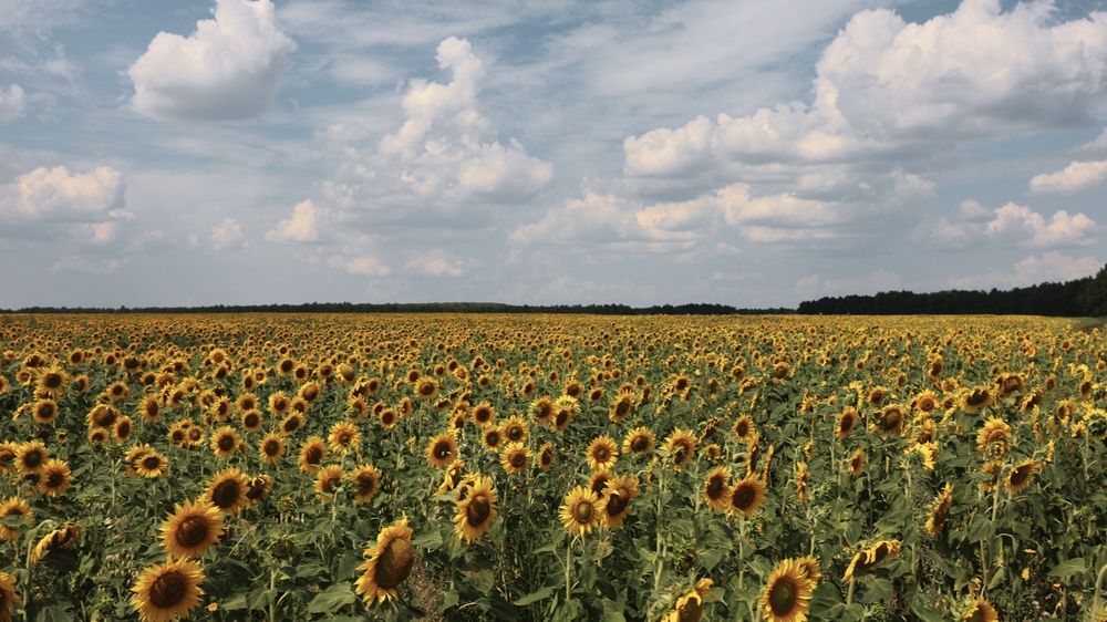 Photograph by Лилия Нуриева