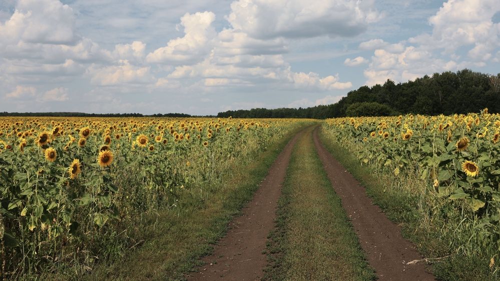 Photograph by Лилия Нуриева