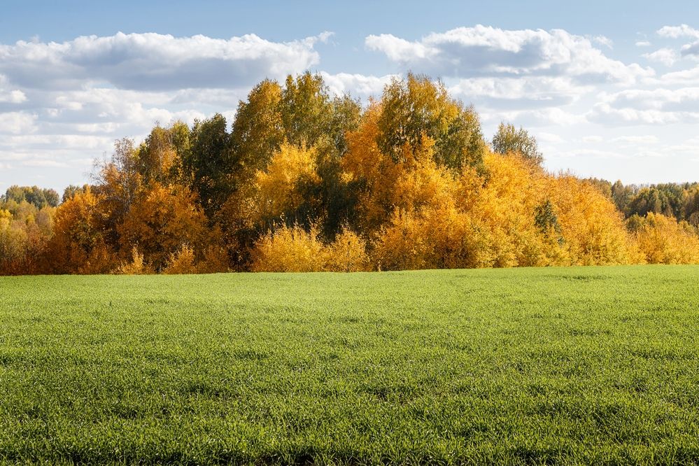 Photograph by виктор ковчин