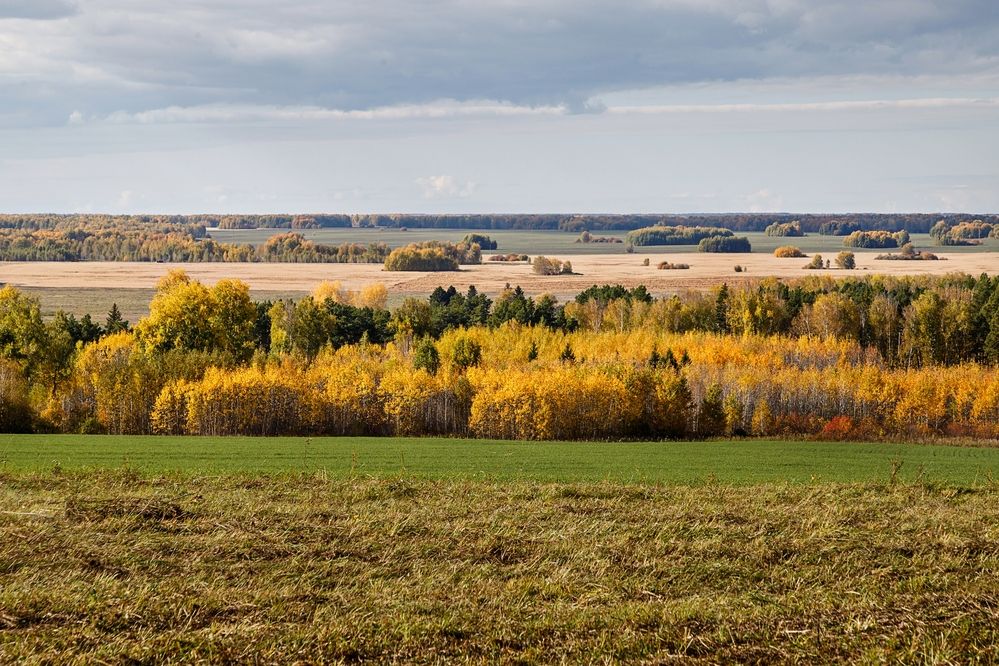 Photograph by виктор ковчин