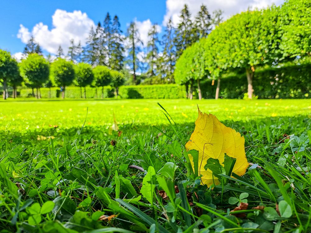 Photograph by Виктор Сёмушкин