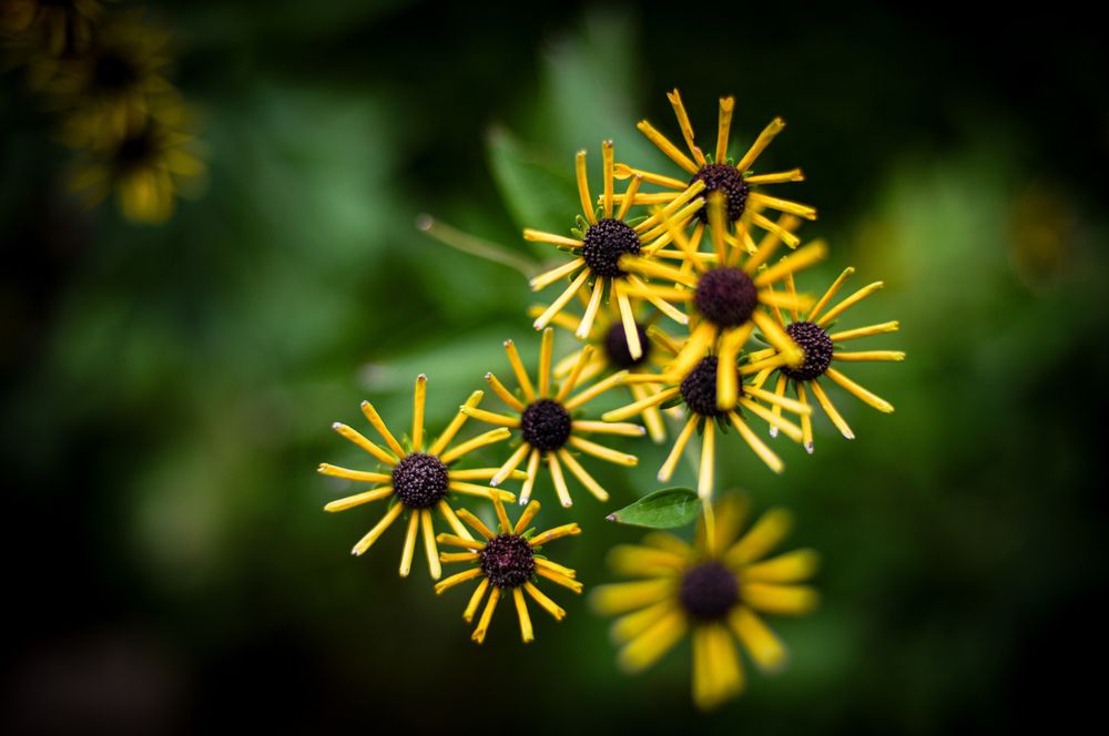 Фотография автора Mutsuaki