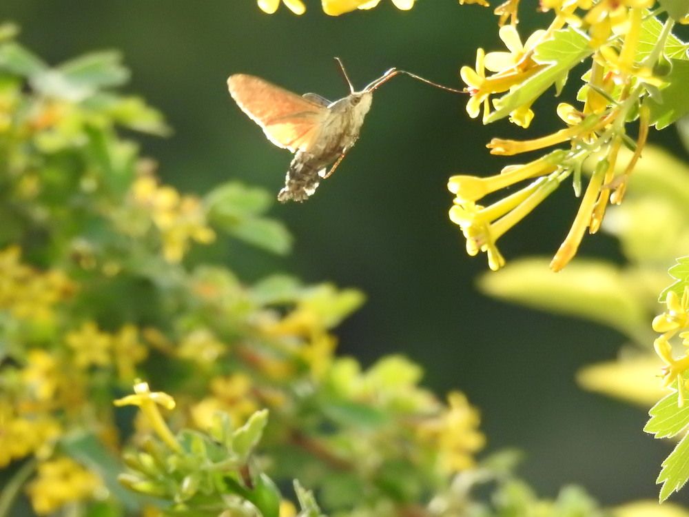 Фотография автора Shavkat Tojiyev