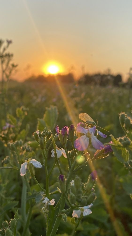 Photograph by Анна Кулакова