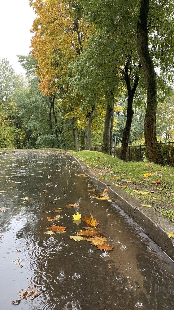 Photograph by Анна Кулакова