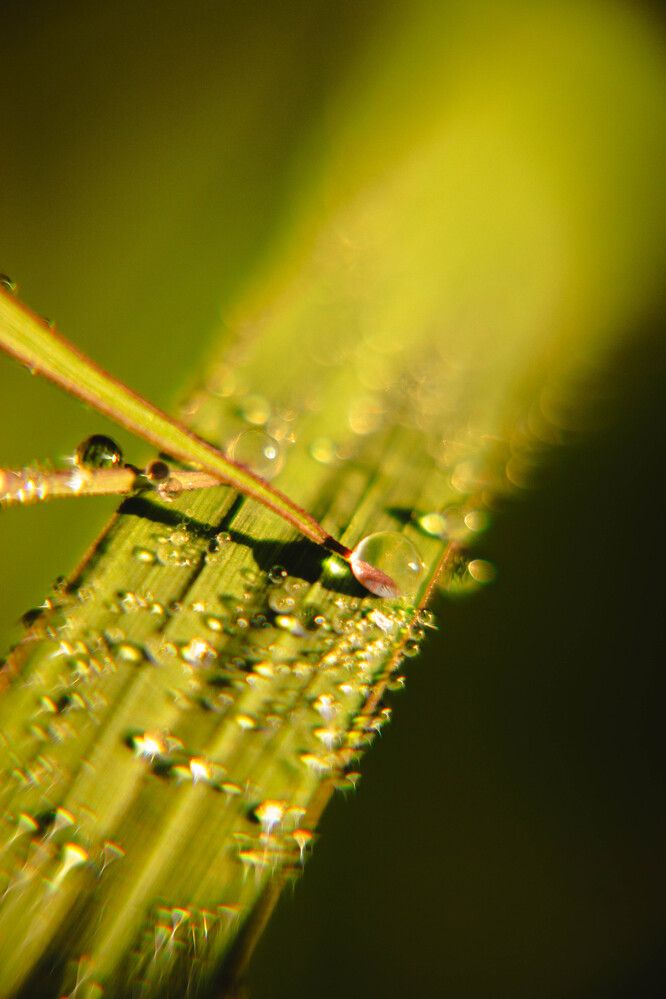 Photograph by Никита Харитонов