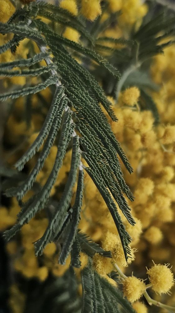 Photograph by Елена Мазуренко