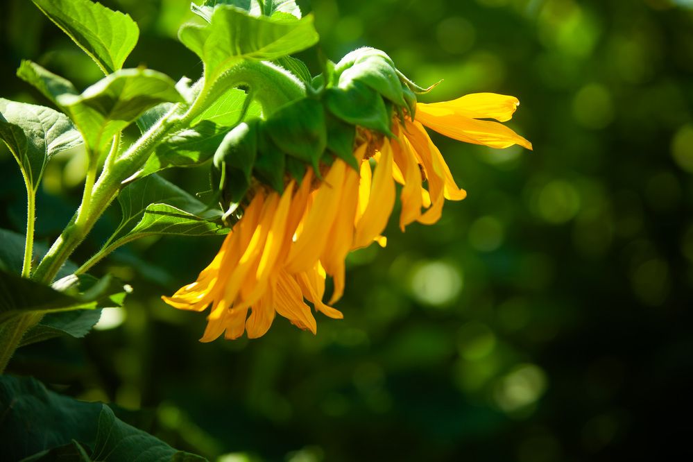 Photograph by Lada Tregubov