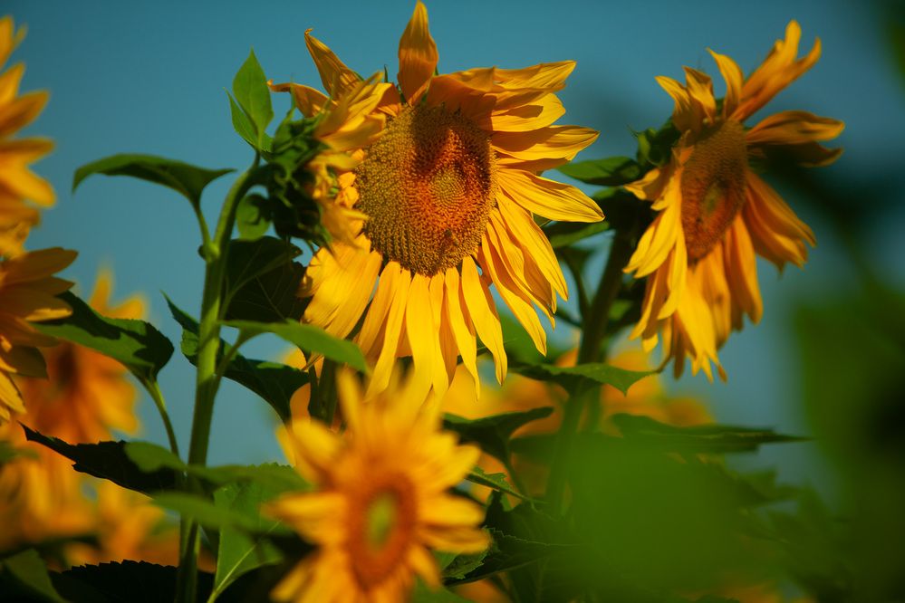 Photograph by Lada Tregubov