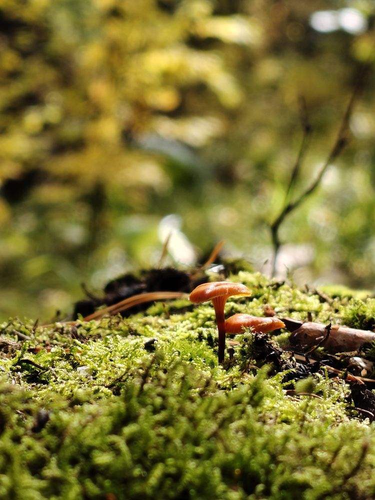 Photograph by Анна Хлыстова