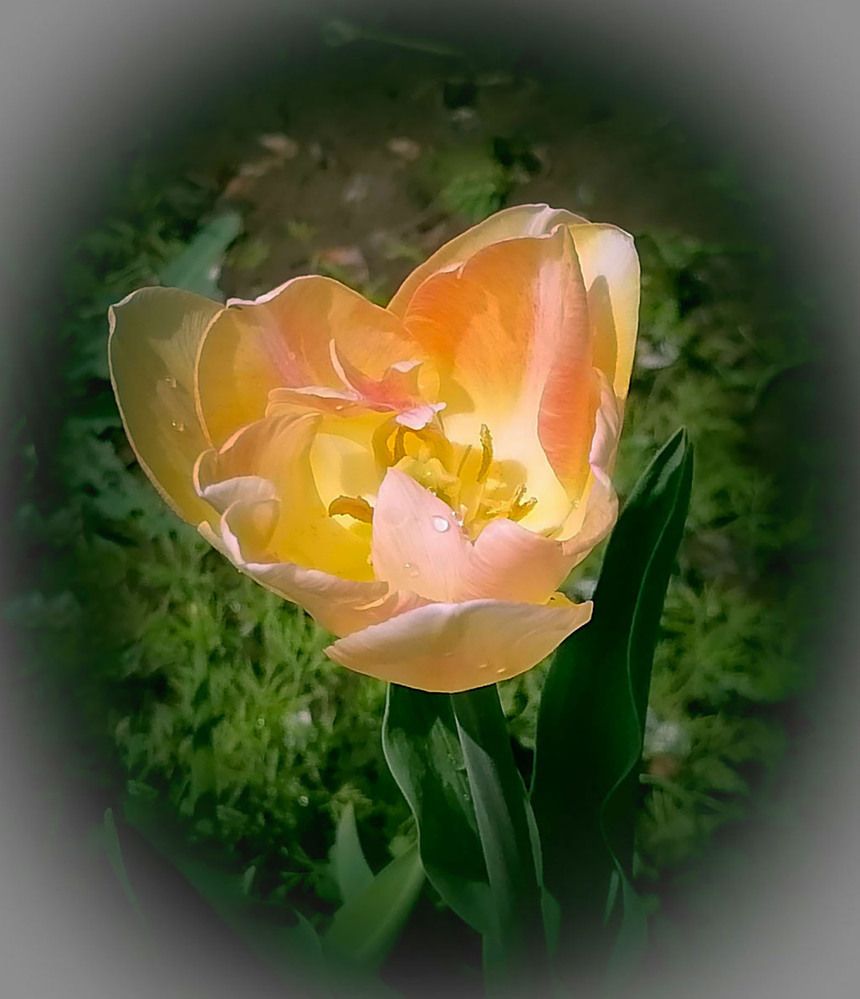 Photograph by Юрий Амосов