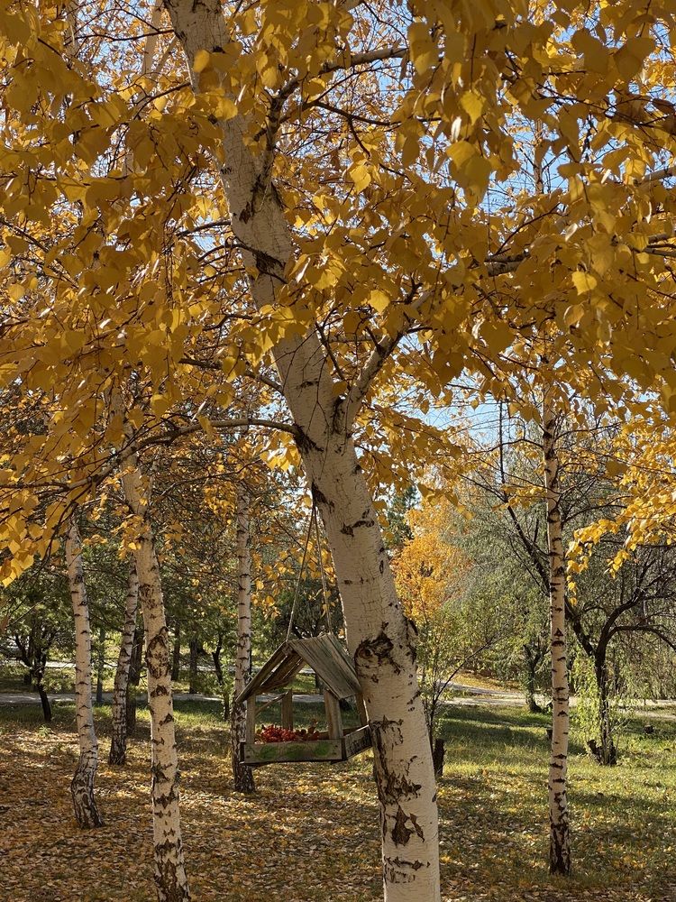 Photograph by Меруерт Айманова