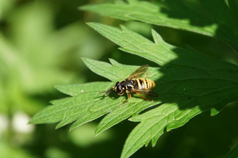 Photograph by сергей мишаков