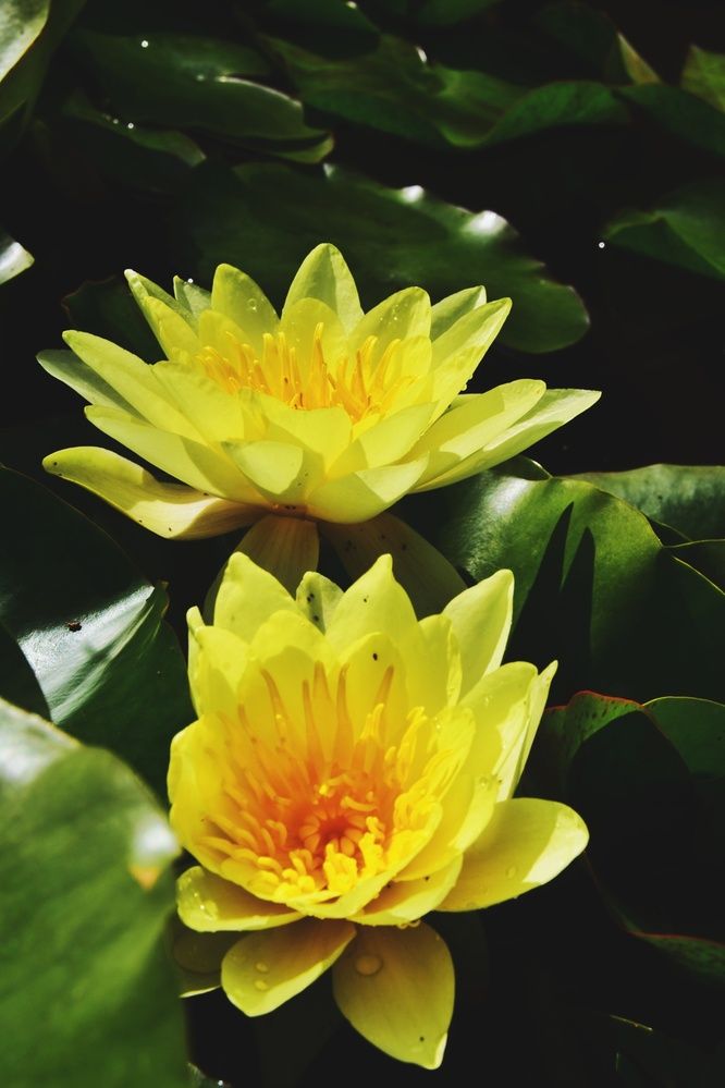 Photograph by Андрей Федин