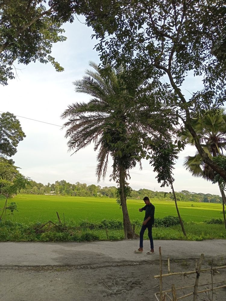 Photograph by Md. Tariq Been Habib