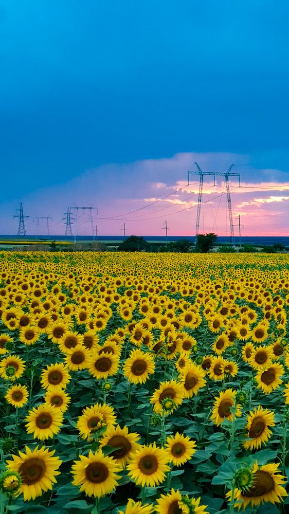 Photograph by Инна Майорова