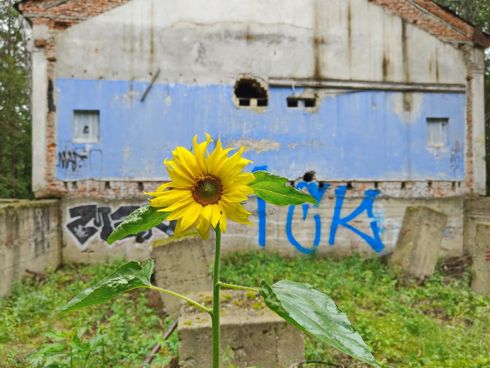 Photograph by Виталий Черепенькин