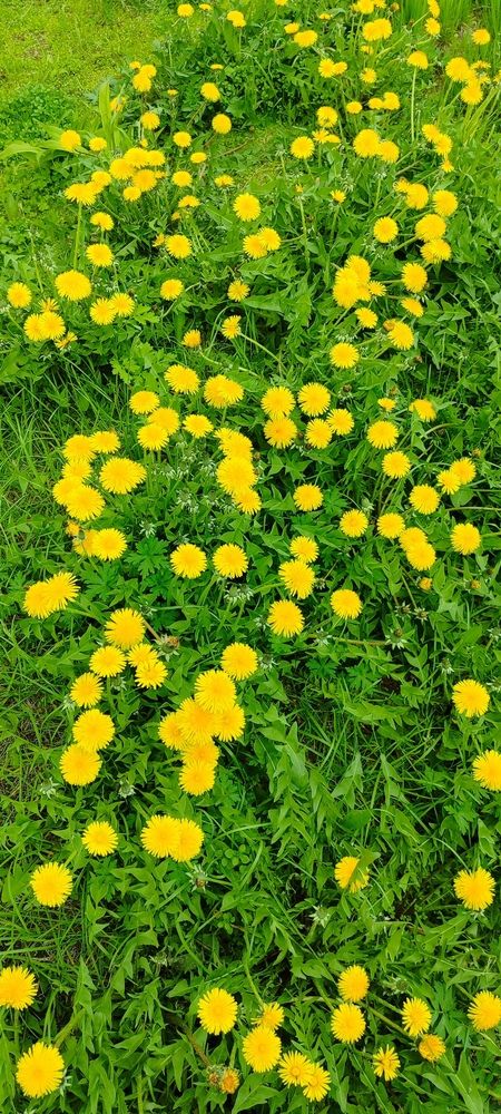 Photograph by Юлия Попова