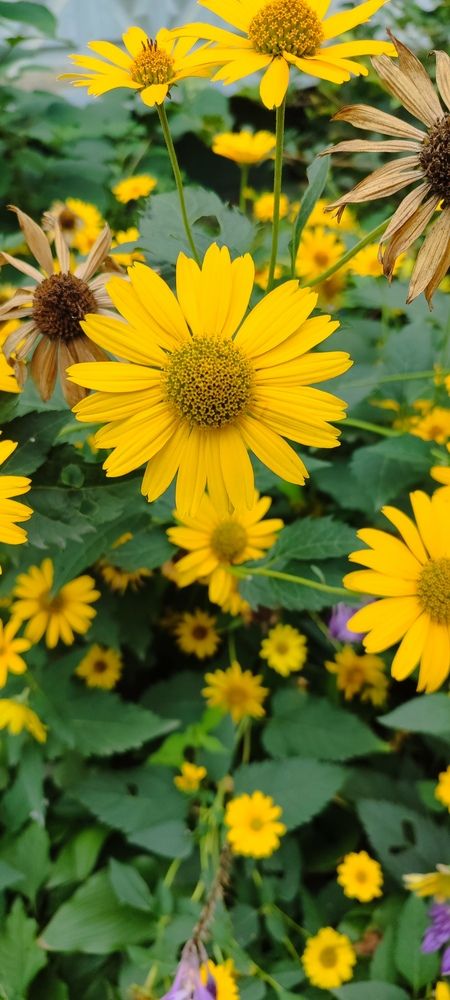 Photograph by Юлия Попова