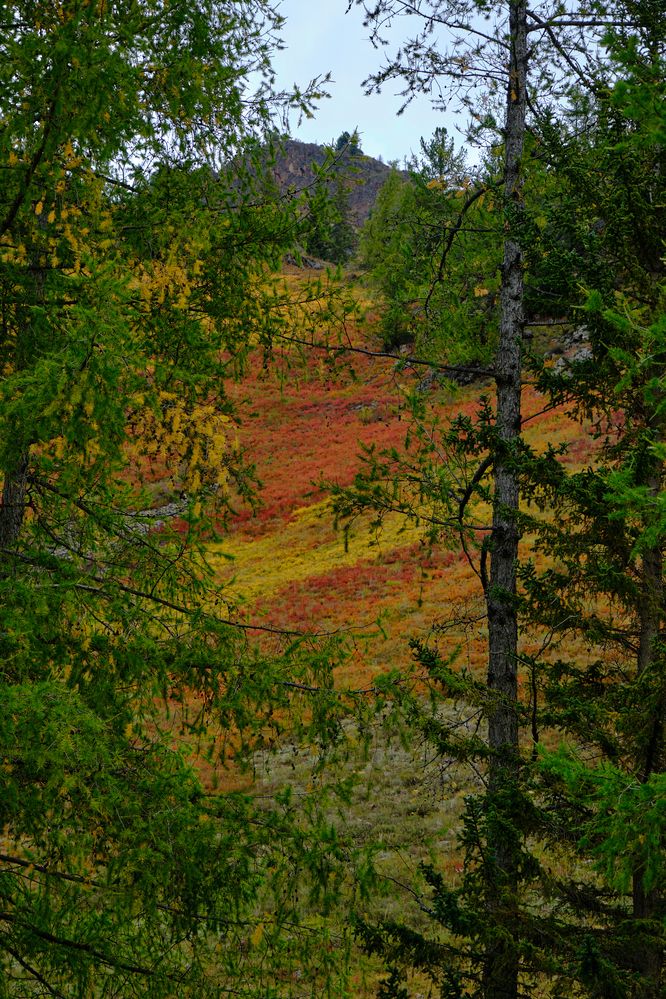 Photograph by Михаил Рогачев