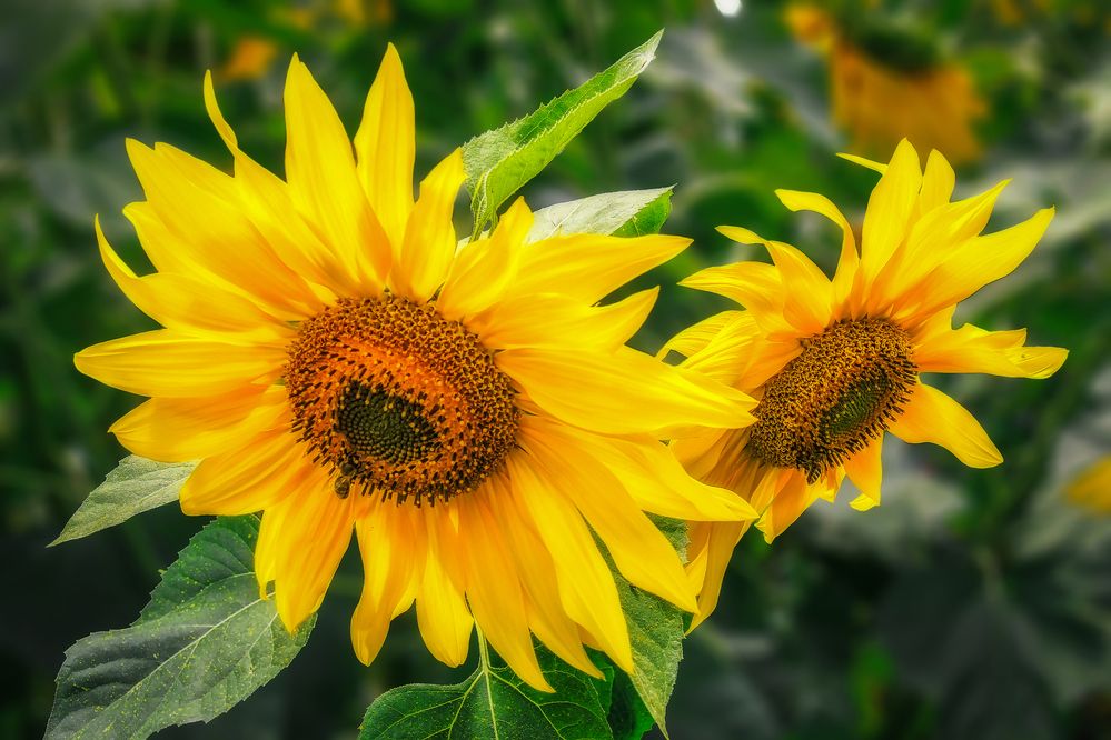 Фотография автора Юдинских Марина