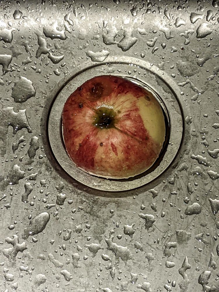 Photograph by Sergey Kurkov-Tarkovsky