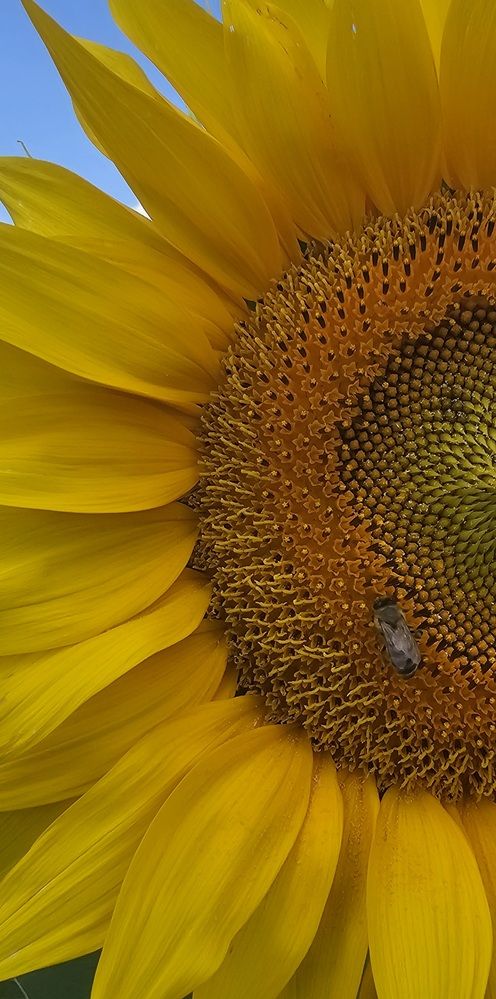 Photograph by Елена Мазуренко