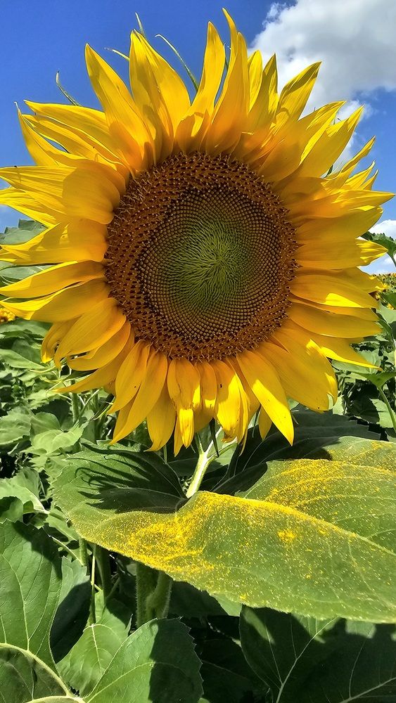 Photograph by Елена Мазуренко