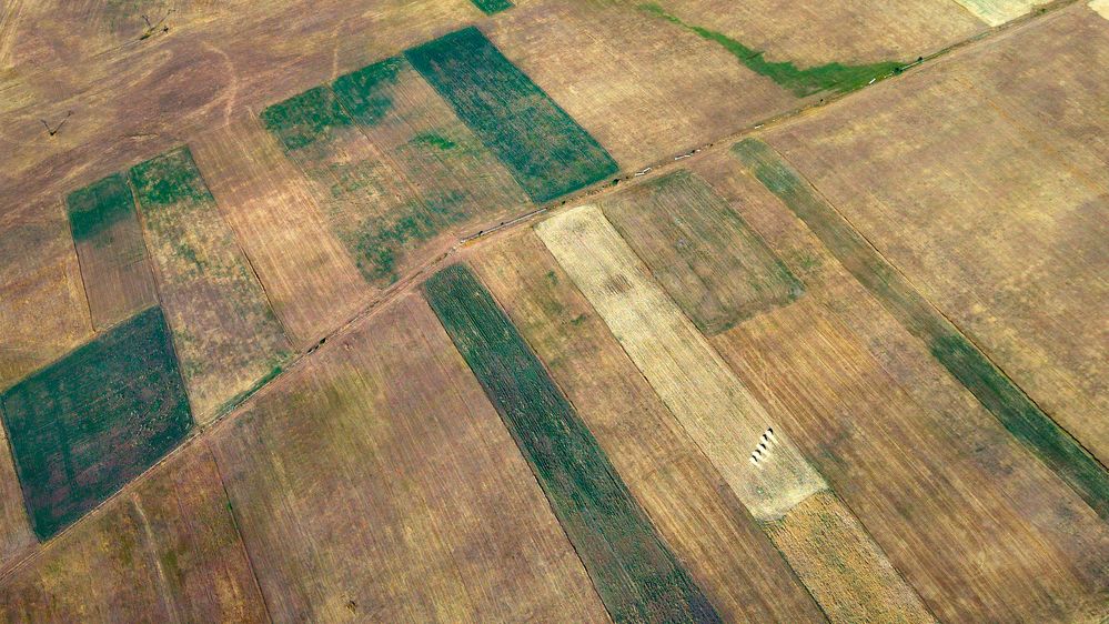 Photograph by Samvel Sargsyan