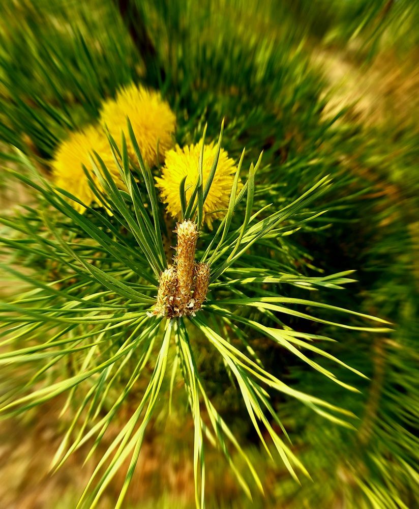 Photograph by Анна Киселева