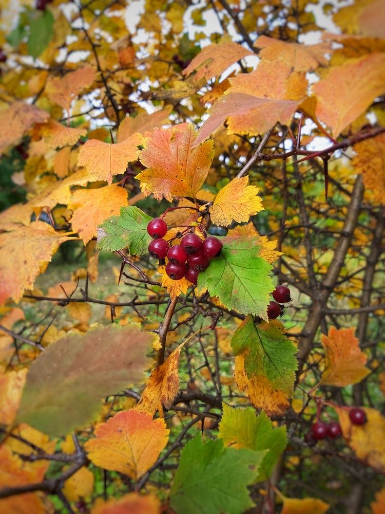 Photograph by Анна Киселева