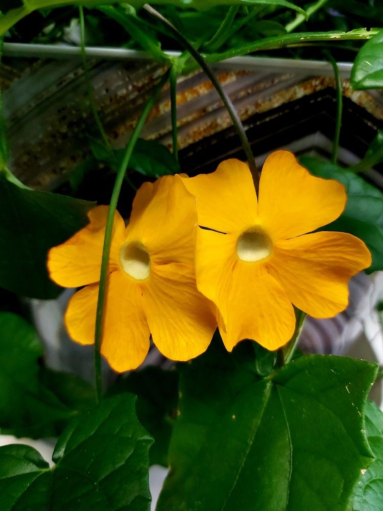 Photograph by Анна Киселева