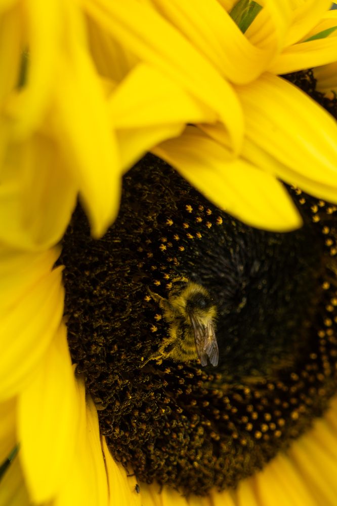 Photograph by Надежда Мытник