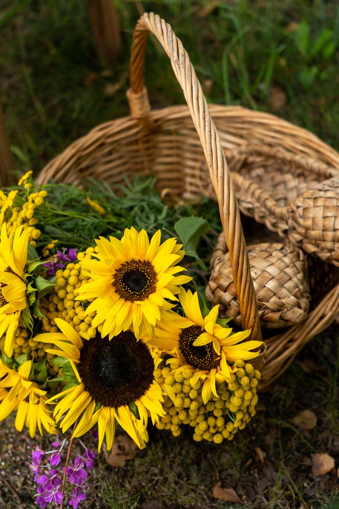 Photograph by Надежда Мытник