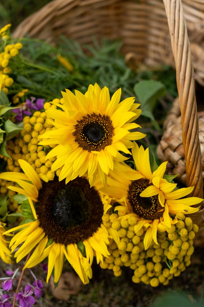 Photograph by Надежда Мытник