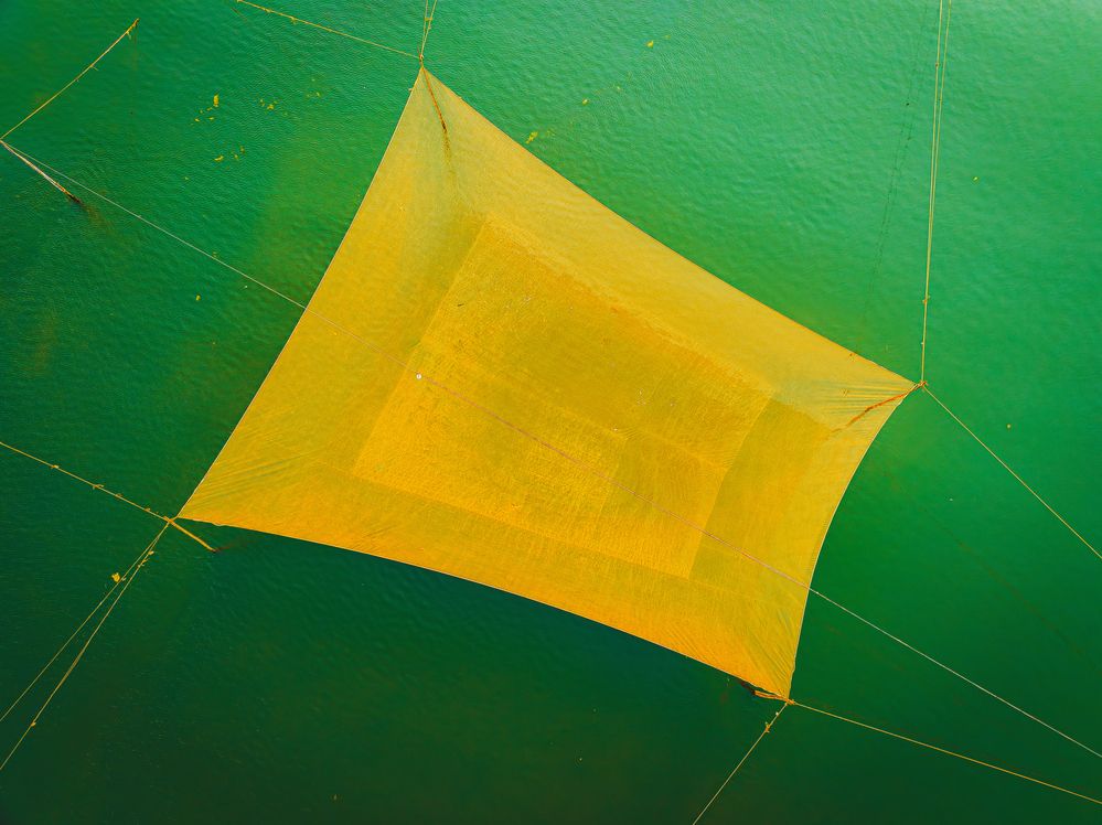 Photograph by Tran Phuong