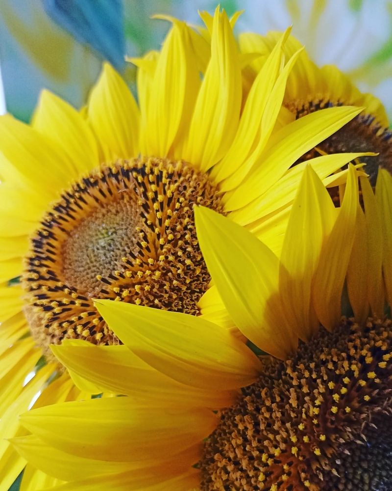 Photograph by Дарья Кирина