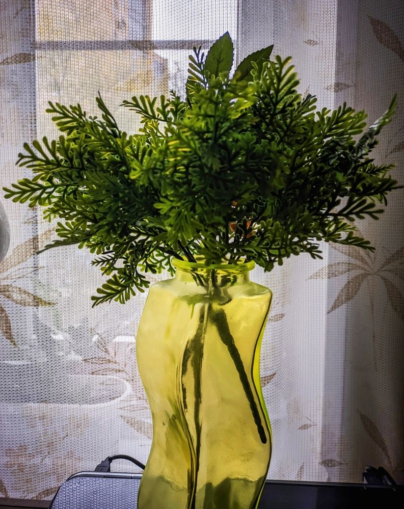 Photograph by Sergey Kurkov-Tarkovsky