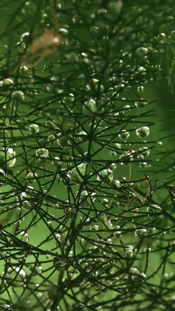 Photograph by Лилия Нуриева