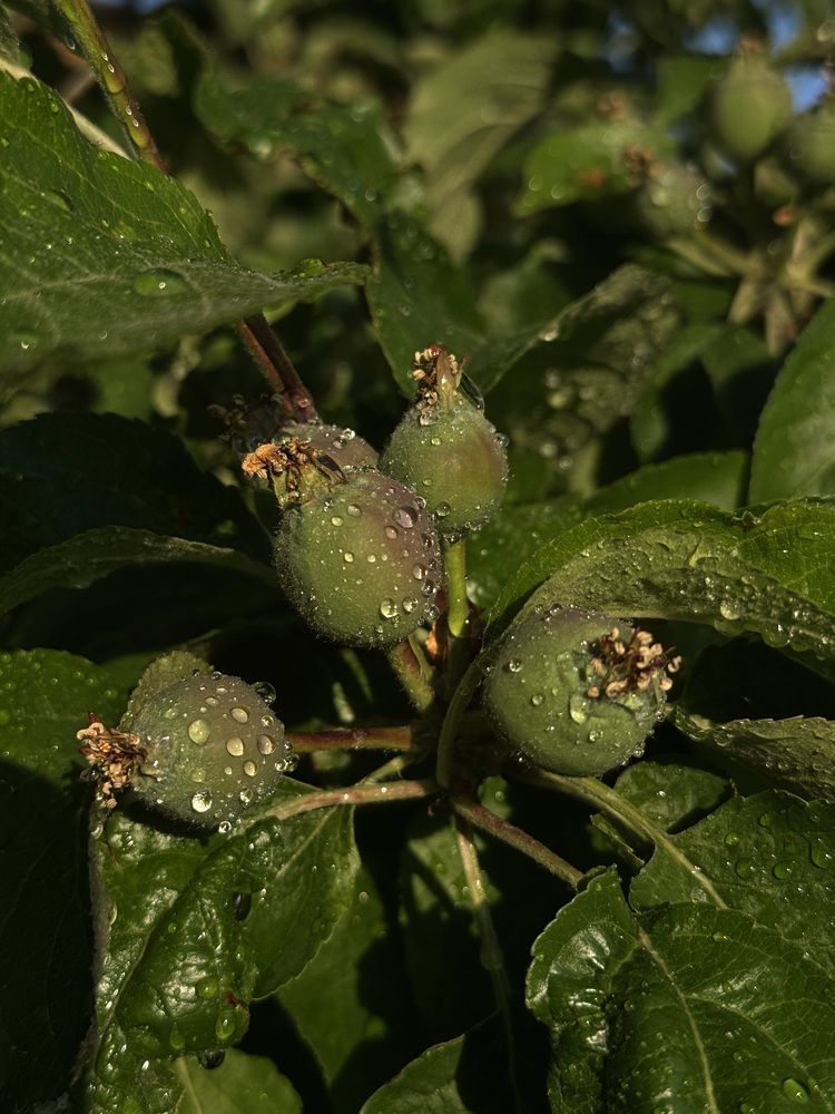 Photograph by Лилия Нуриева