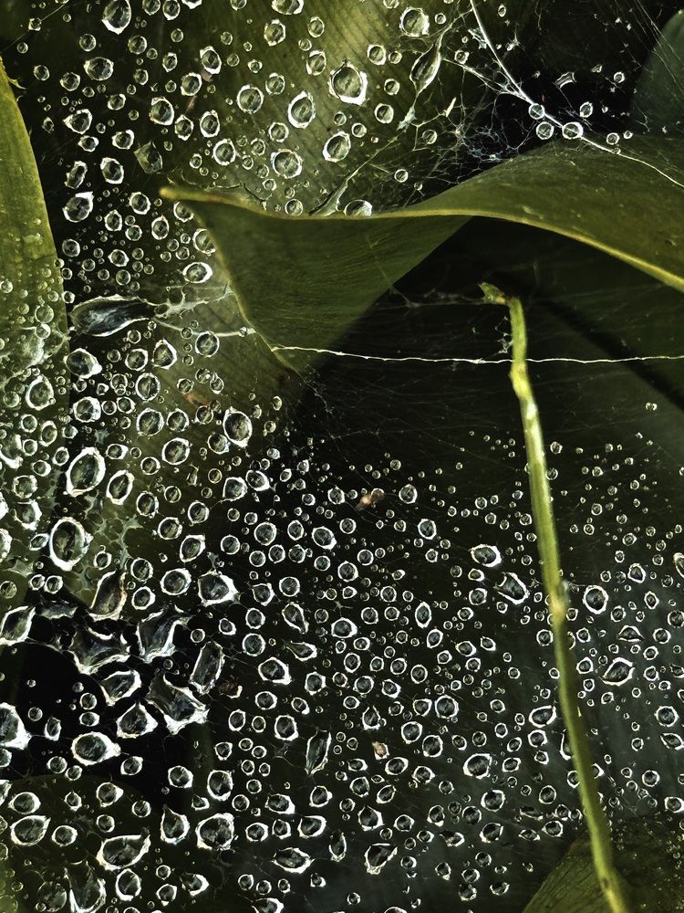 Photograph by Лилия Нуриева