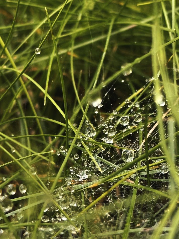 Photograph by Лилия Нуриева