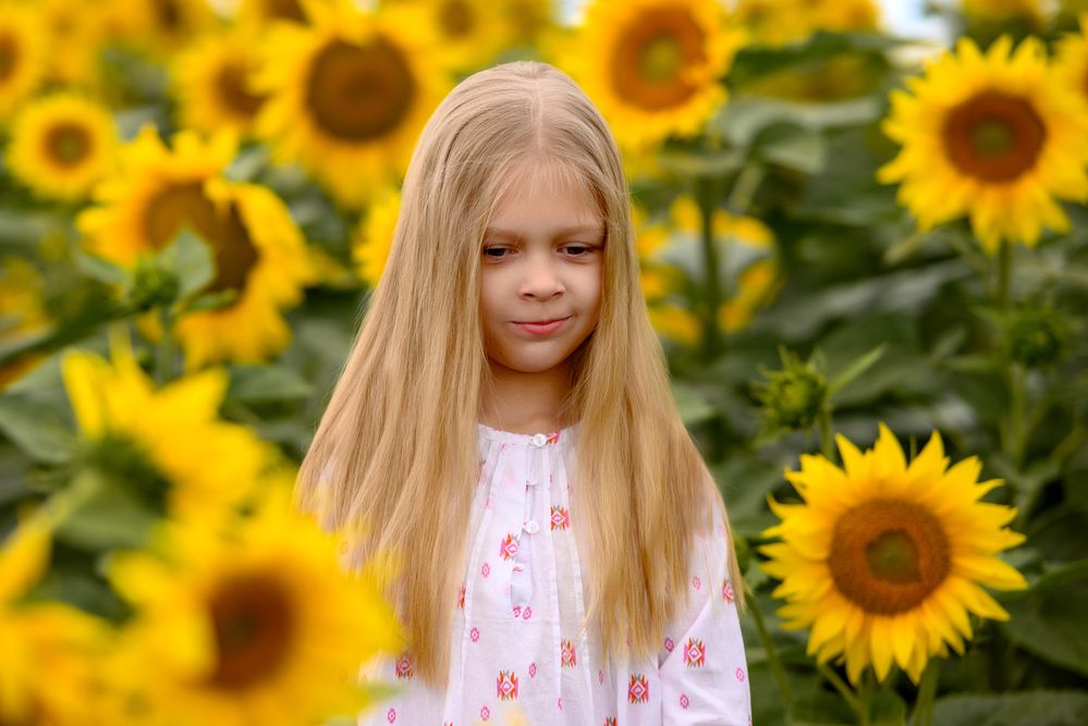 Photograph by Александр Журов