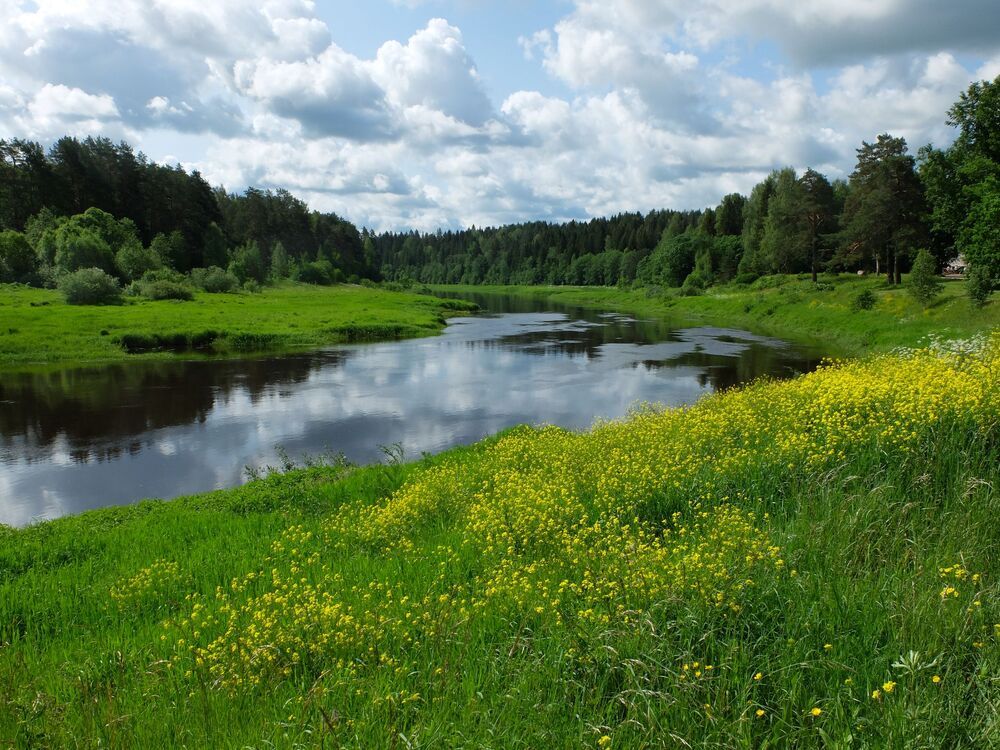 Photograph by Ираида Стародубцева