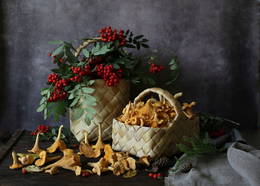 С лисичками